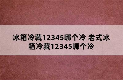 冰箱冷藏12345哪个冷 老式冰箱冷藏12345哪个冷